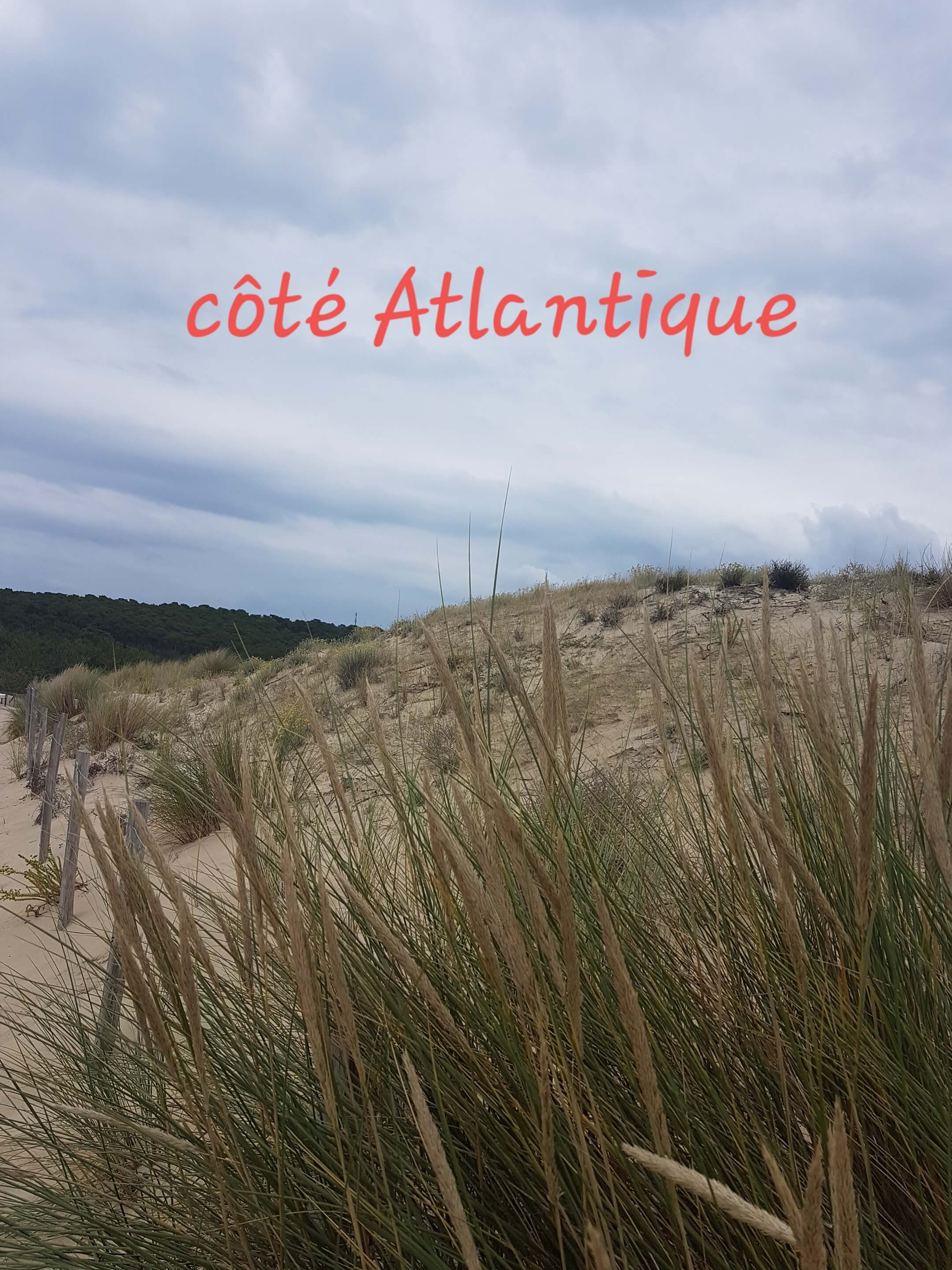 Côté Atlantique La cote Atlantique près du meublé de tourisme Le petit Prince