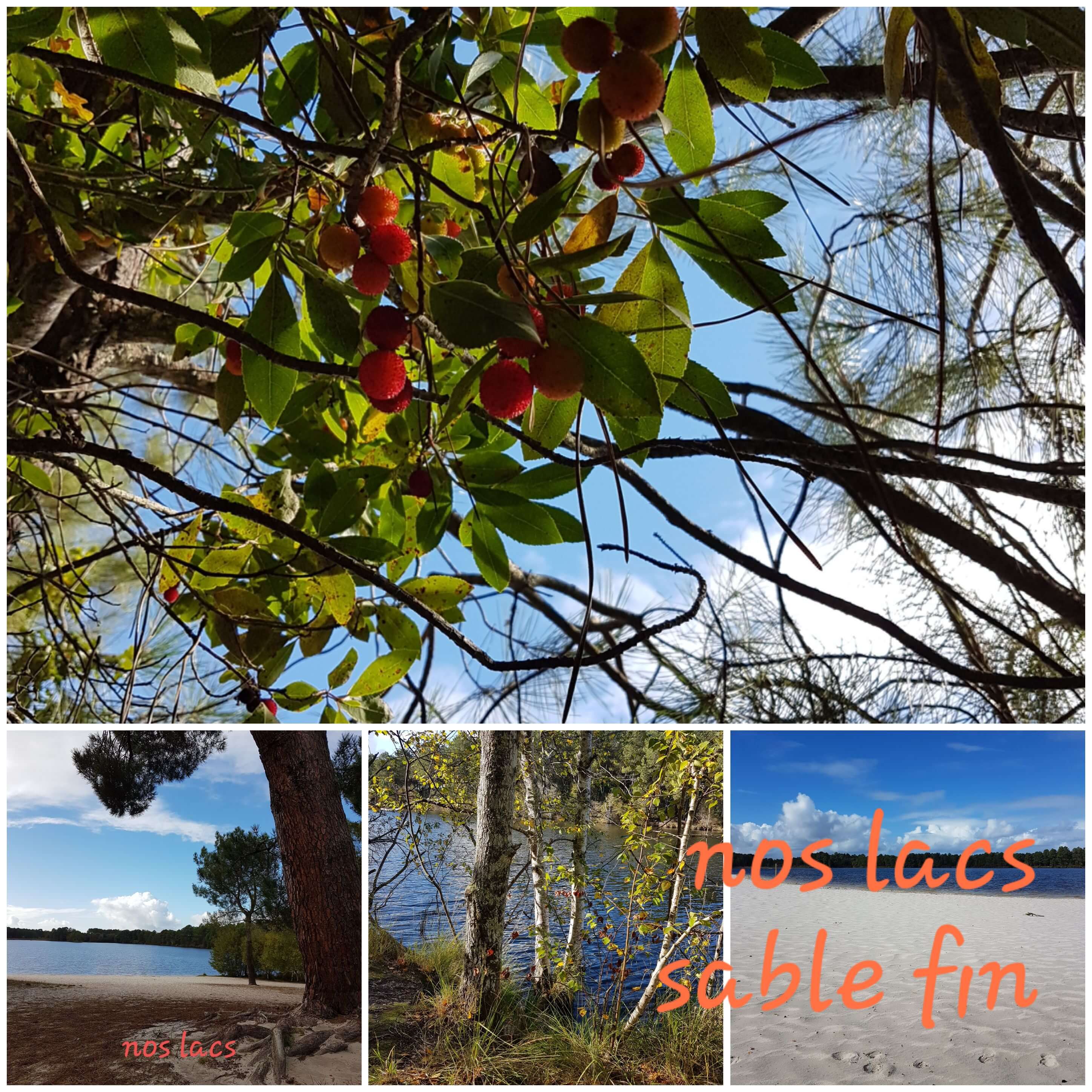 Nos lacs Les lacs à proximité de notre gite à Pessac