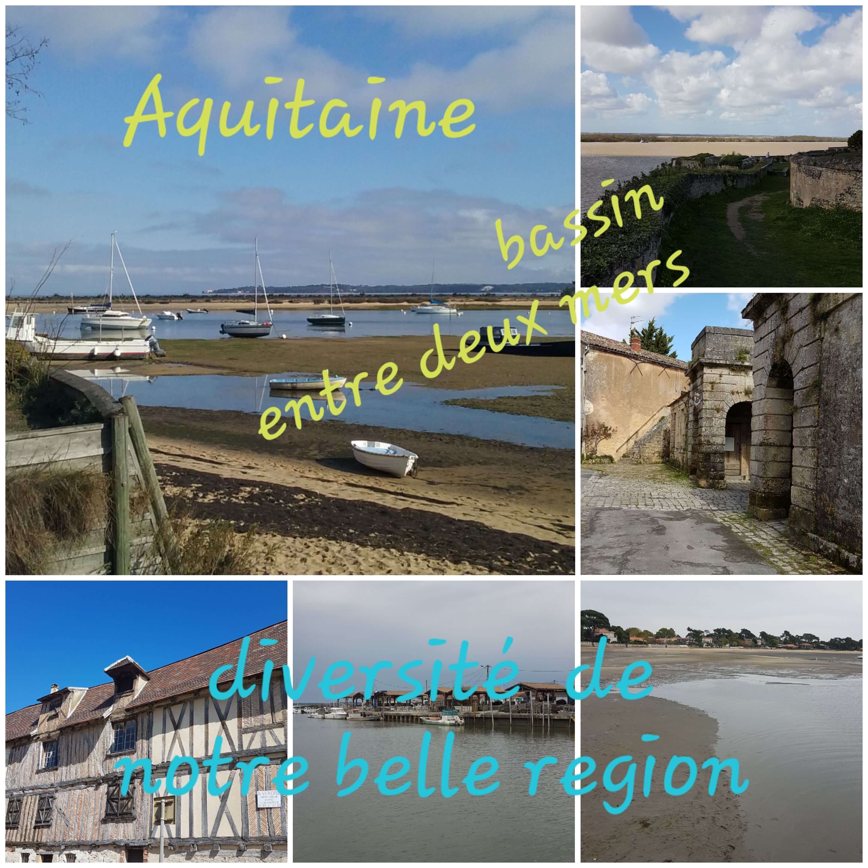 Notre région Diversité autour de notre meublé Le Petit Prince à Pessac