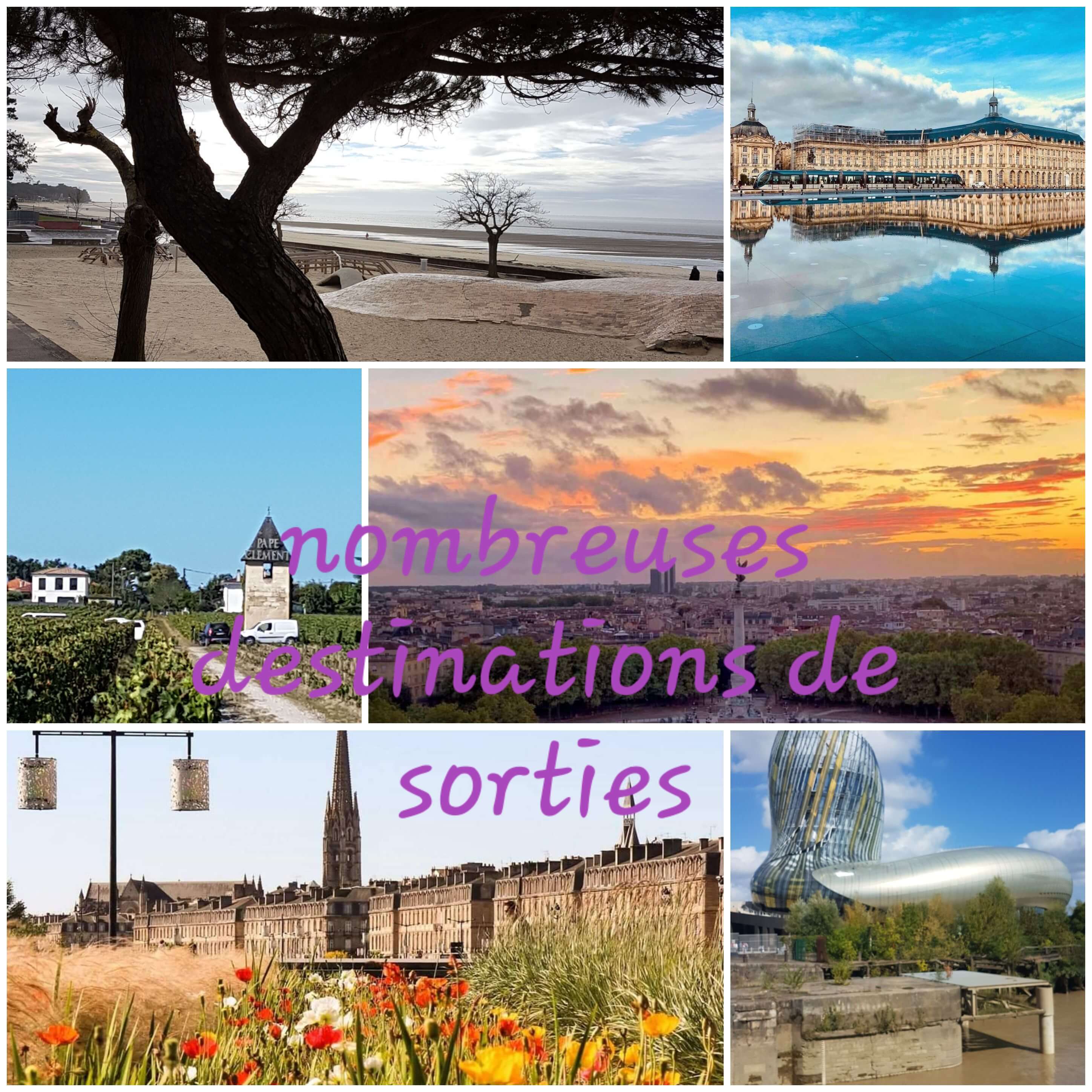 Notre région Nature et architecture en aquitaine autour de notre meublé Le Petit Prince à Pessac